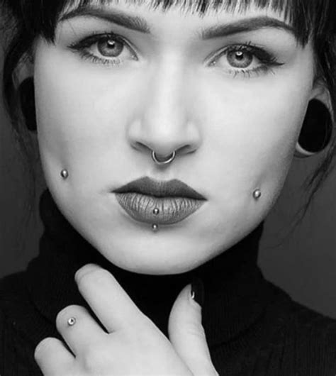 wildcat piercing|wildcat piercing shop.